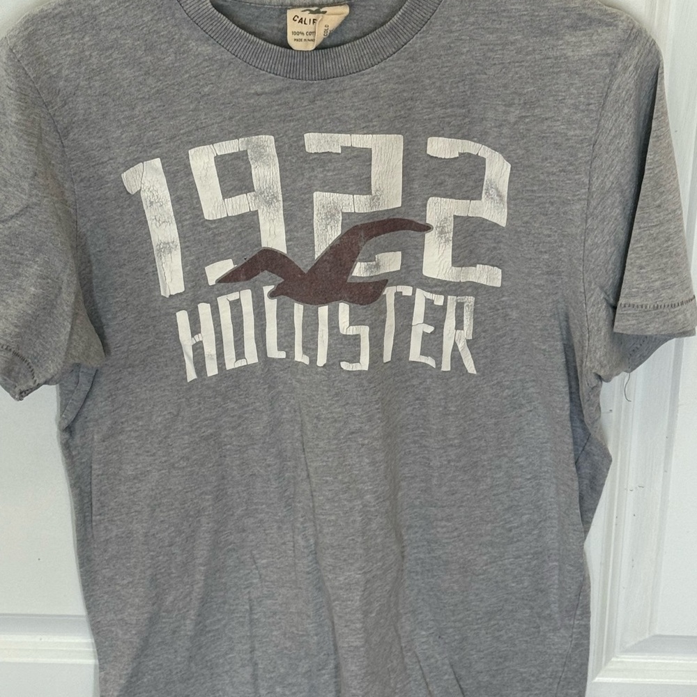 Hollister 1922 Gray Short Sleeve Tee